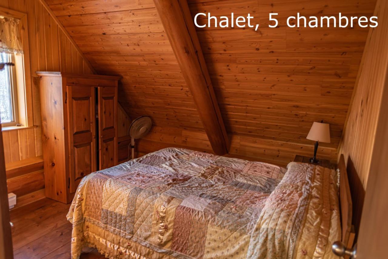 Chalets Et Spa Lac Saint-Jean Chambord Exteriér fotografie